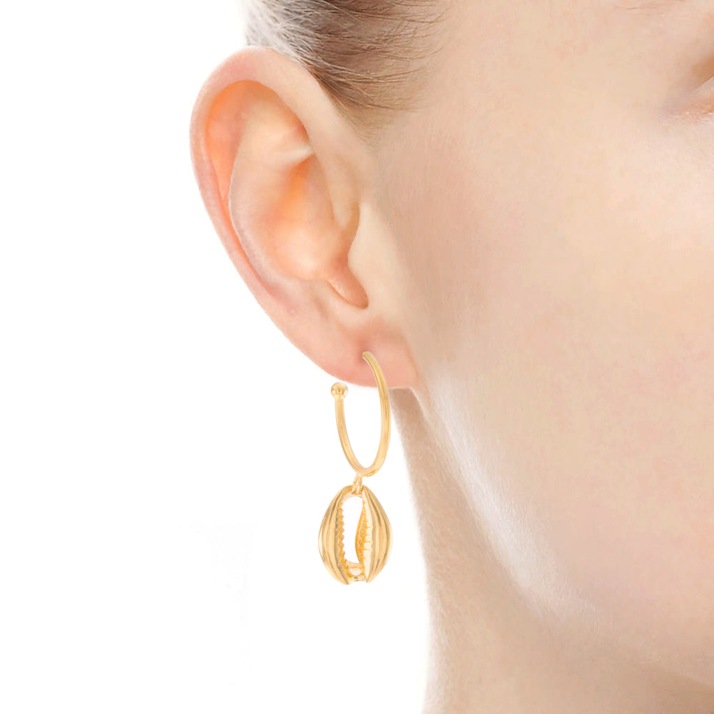 Cowrie Shell Hoop Earrings 18k Gold Over Sterling Silver